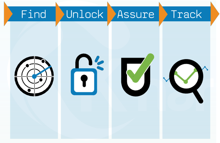 Find, Unlock, Assure and Track Business Value 